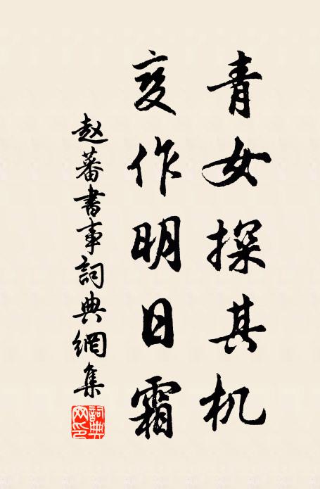 赵蕃青女探其机，变作明日霜书法作品欣赏