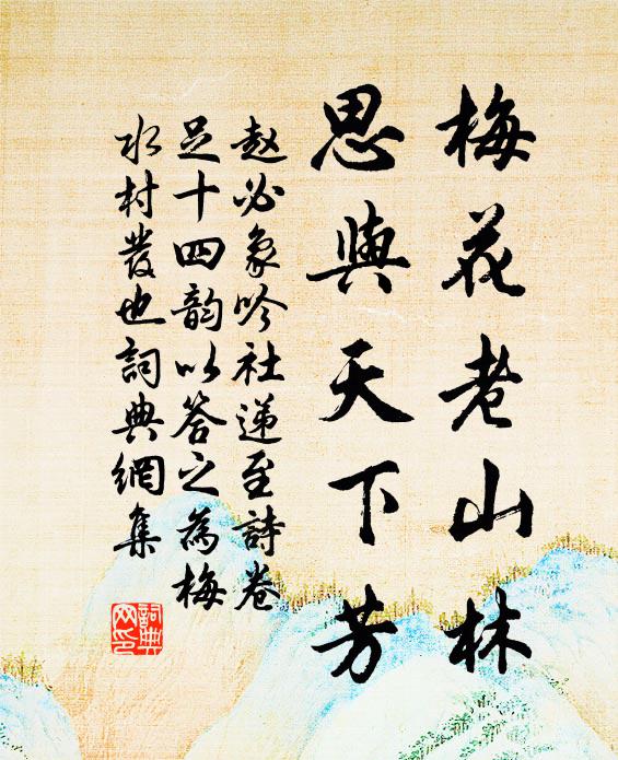 赵必象梅花老山林，思与天下芳书法作品欣赏