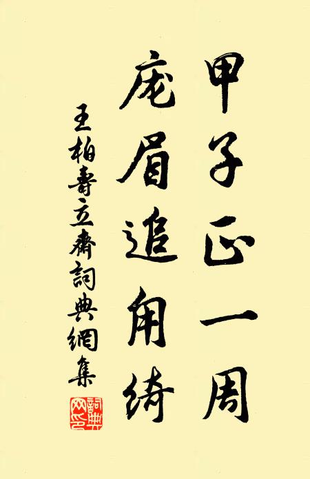 王柏甲子正一周，庞眉追甪绮书法作品欣赏