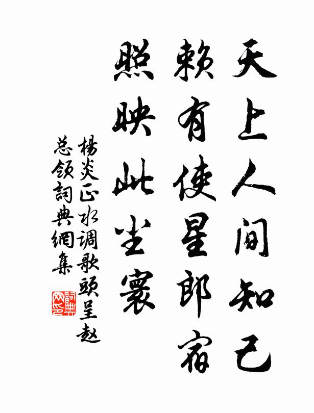 杨炎正天上人间知己，赖有使星郎宿，照映此尘寰书法作品欣赏