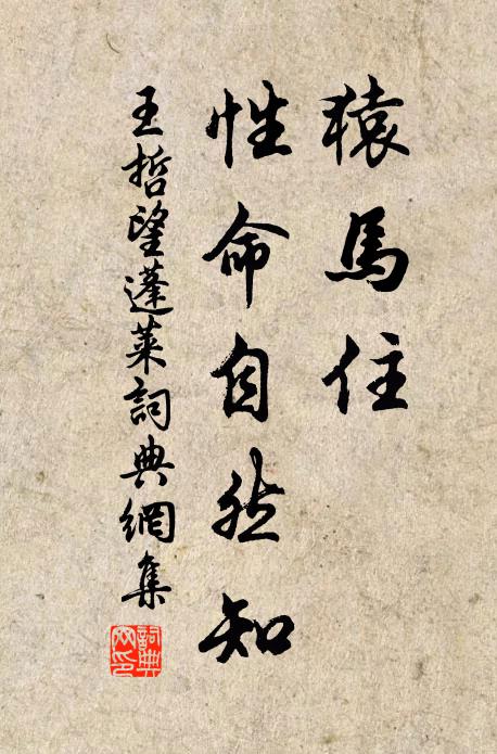 王哲猿马住，性命自然知书法作品欣赏