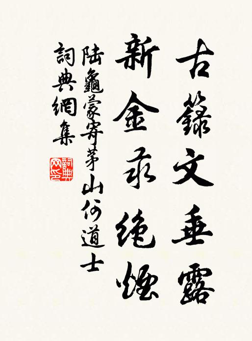 陆龟蒙古箓文垂露，新金汞绝烟书法作品欣赏