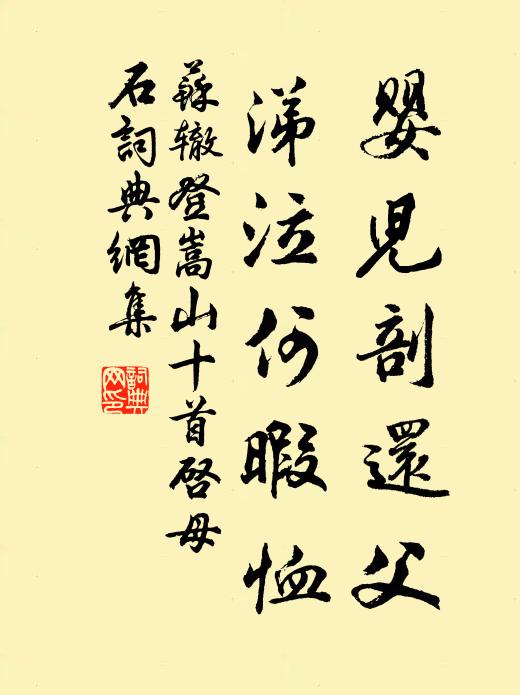 苏辙婴儿剖还父，涕泣何暇恤书法作品欣赏