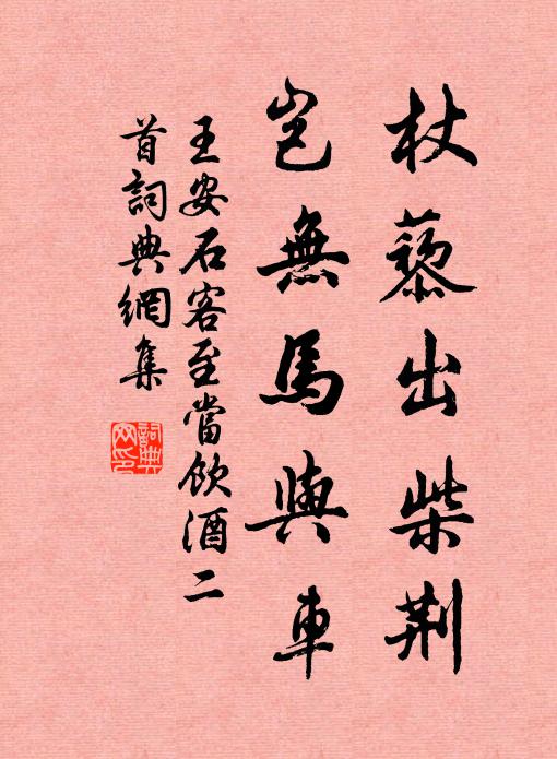 王安石杖藜出柴荆，岂无马与车书法作品欣赏
