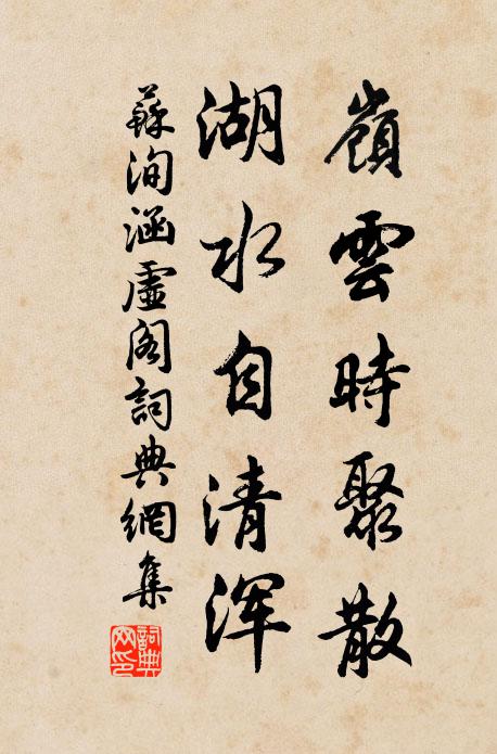 苏洵岭云时聚散，湖水自清浑书法作品欣赏