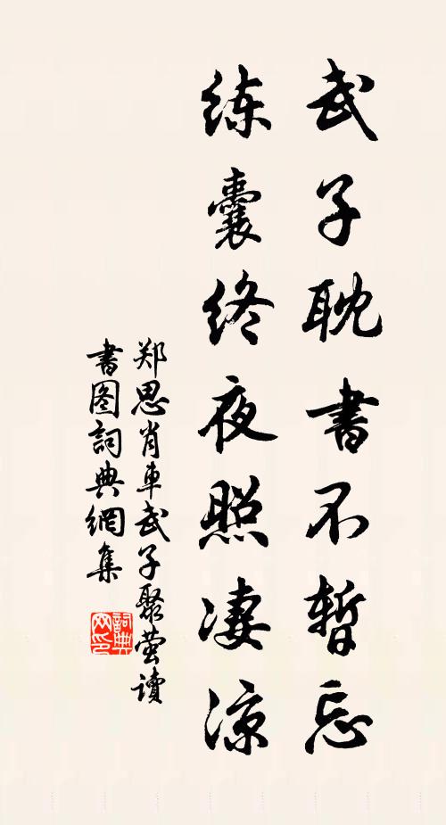 郑思肖武子耽书不暂忘，练囊终夜照凄凉书法作品欣赏