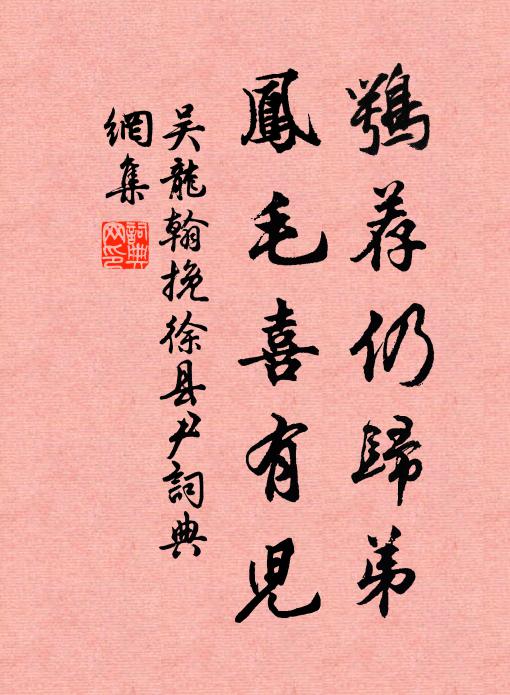 吴龙翰鹗荐仍归弟，凤毛喜有儿书法作品欣赏