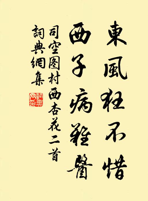 司空图东风狂不惜，西子病难医书法作品欣赏
