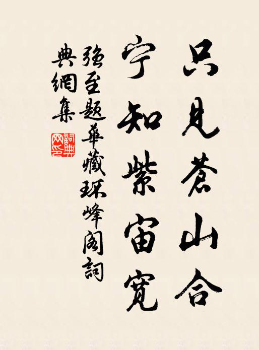 强至只见苍山合，宁知紫宙宽书法作品欣赏