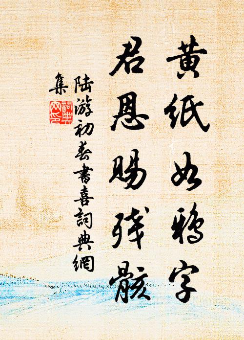 陆游黄纸如鸦字，君恩赐残骸书法作品欣赏