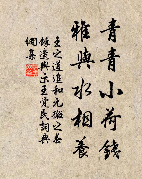 王之道青青小荷钱，雅与水相养书法作品欣赏