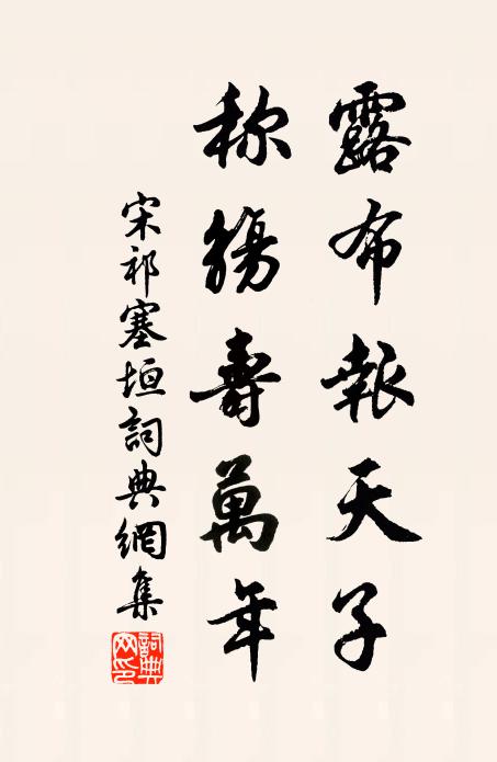 宋祁露布报天子，称觞寿万年书法作品欣赏