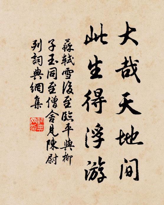 苏轼大哉天地间，此生得浮游书法作品欣赏
