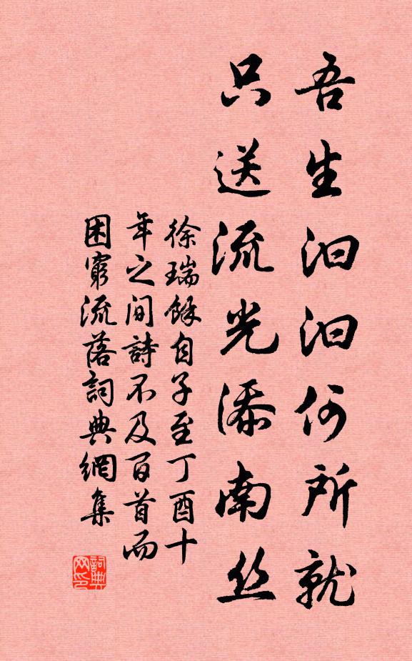 徐瑞吾生汩汩何所就，只送流光添南丝书法作品欣赏