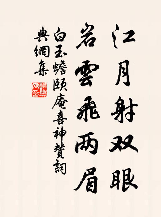 白玉蟾江月射双眼，岩云飞两眉书法作品欣赏