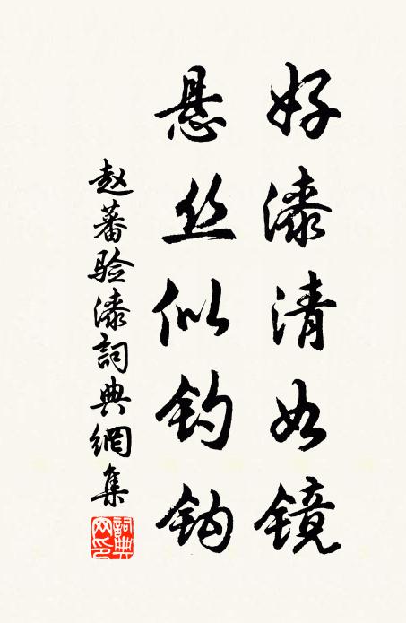 赵蕃好漆清如镜，悬丝似钓钩书法作品欣赏