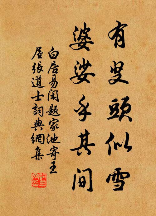 白居易有叟头似雪，婆娑乎其间书法作品欣赏