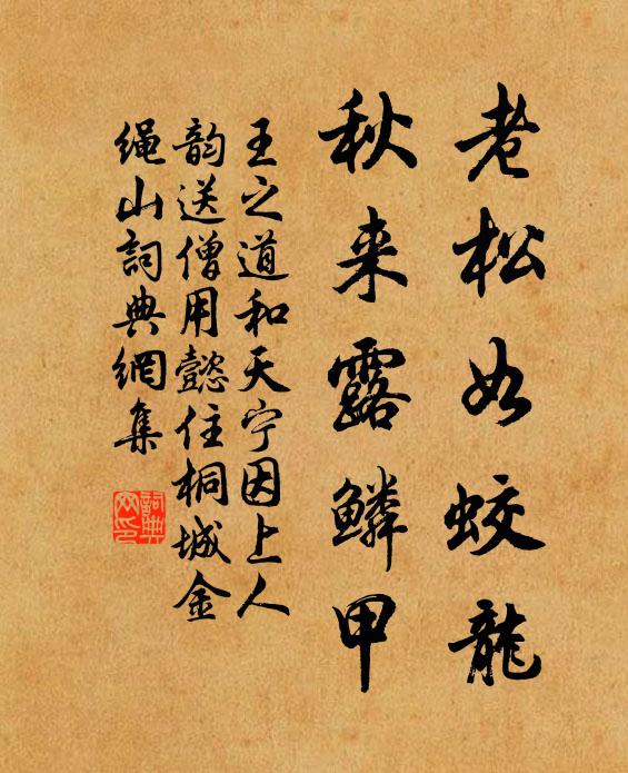 王之道老松如蛟龙，秋来露鳞甲书法作品欣赏
