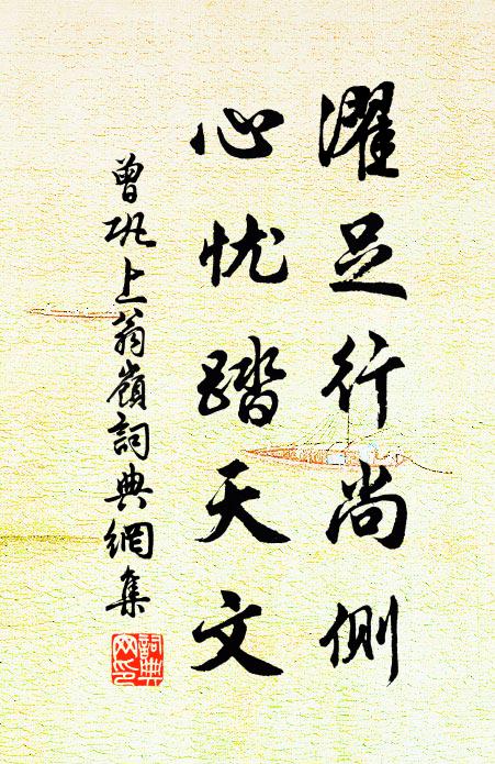 曾巩濯足行尚侧，心忧踏天文书法作品欣赏