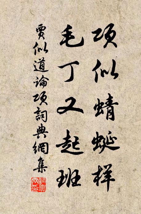 贾似道项似蜻蜓样，毛丁又起班书法作品欣赏