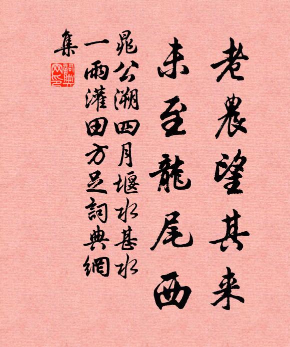 晁公溯老农望其来，未至龙尾西书法作品欣赏