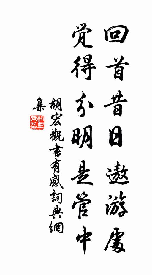 胡宏回首昔日遨游处，觉得分明是管中书法作品欣赏