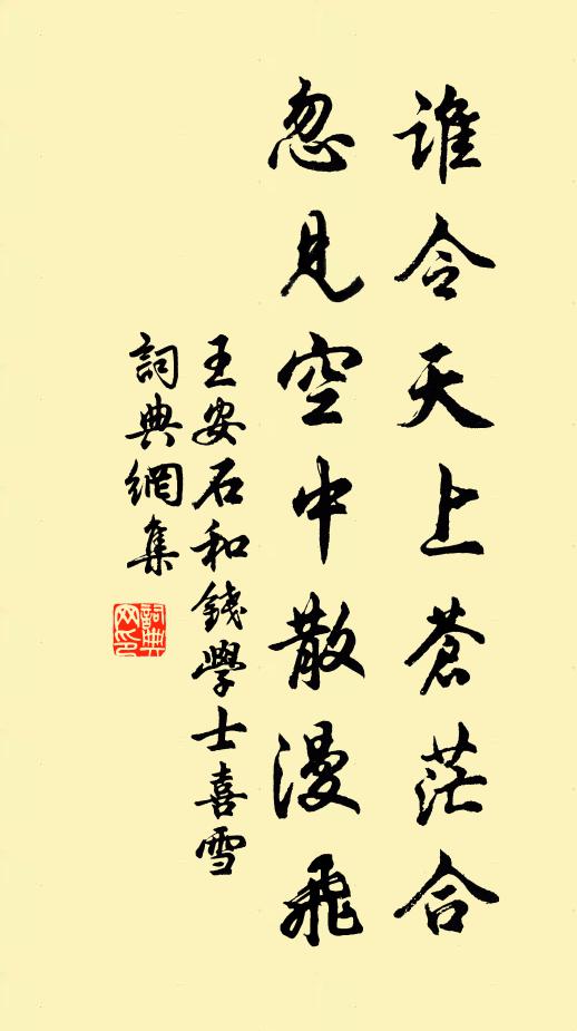 王安石谁令天上苍茫合，忽见空中散漫飞书法作品欣赏