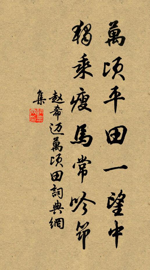 赵希迈万顷平田一望中，独乘瘦马常吟筇书法作品欣赏