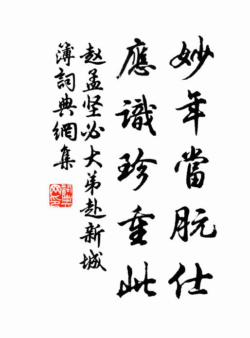 赵孟坚妙年当朊仕，应识珍重此书法作品欣赏