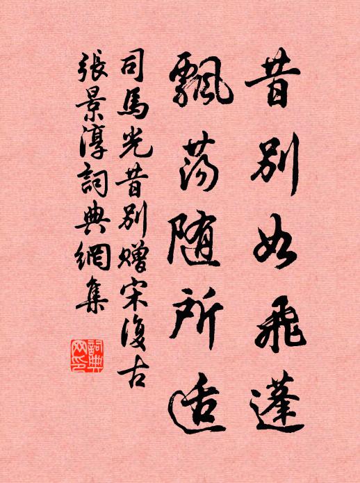 司马光昔别如飞蓬，飘荡随所适书法作品欣赏