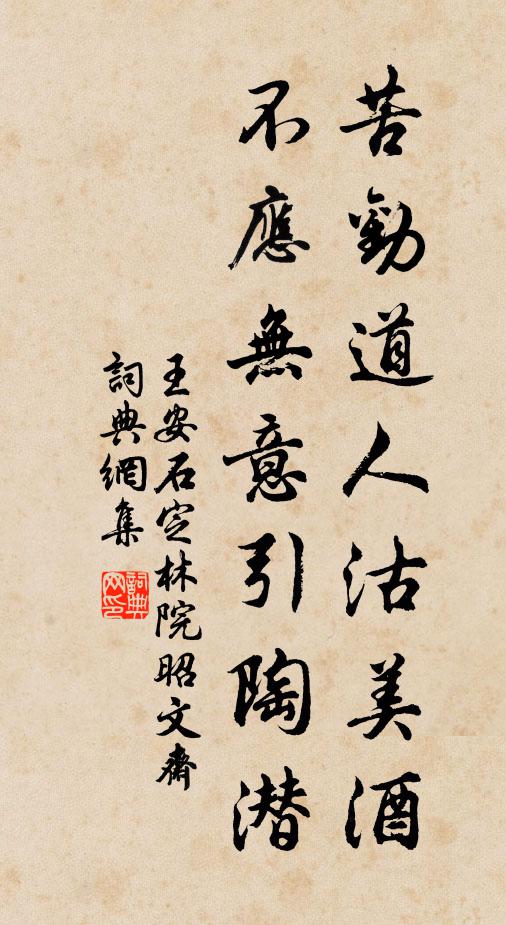 王安石苦劝道人沽美酒，不应无意引陶潜书法作品欣赏