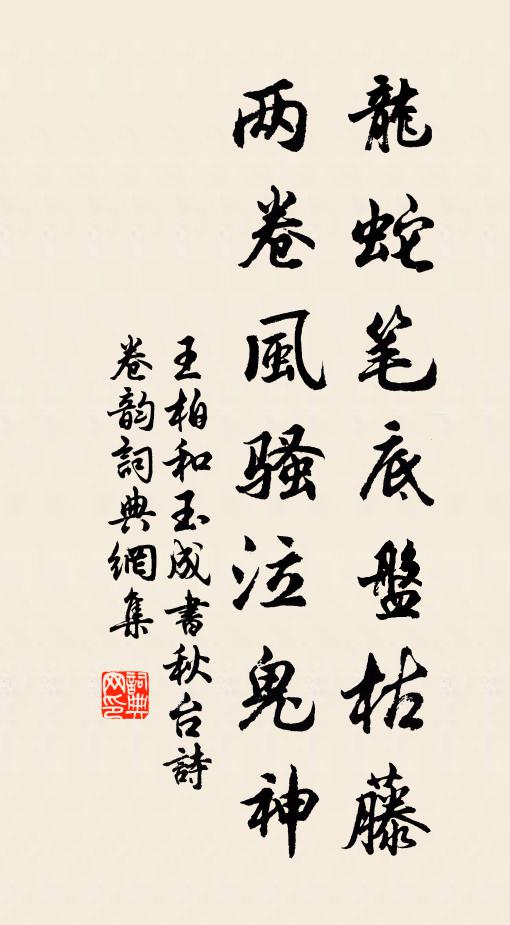 王柏龙蛇笔底盘枯藤，两卷风骚泣鬼神书法作品欣赏
