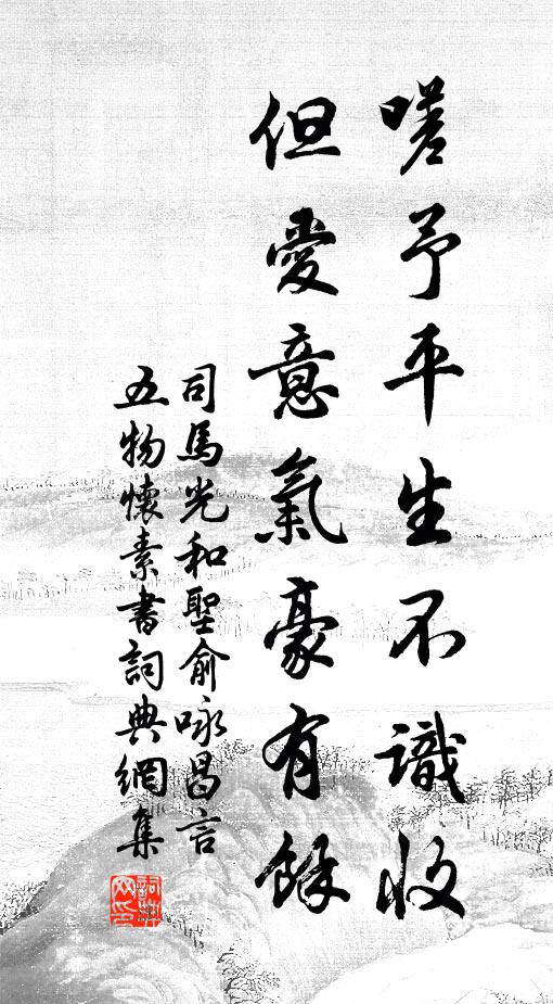 司马光嗟予平生不识收，但爱意气豪有余书法作品欣赏