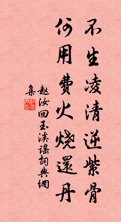 赵汝回不生凌清逆紫骨，何用费火烧还丹书法作品欣赏