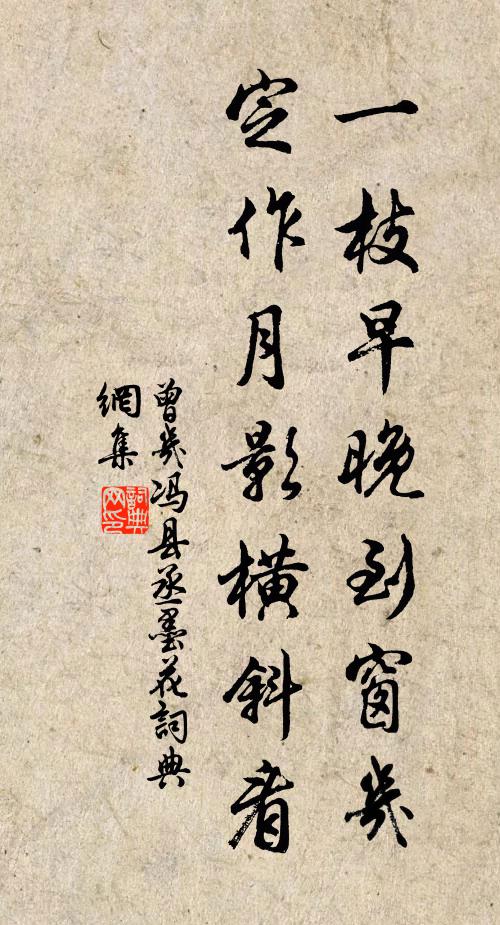 曾几一枝早晚到窗几，定作月影横斜看书法作品欣赏