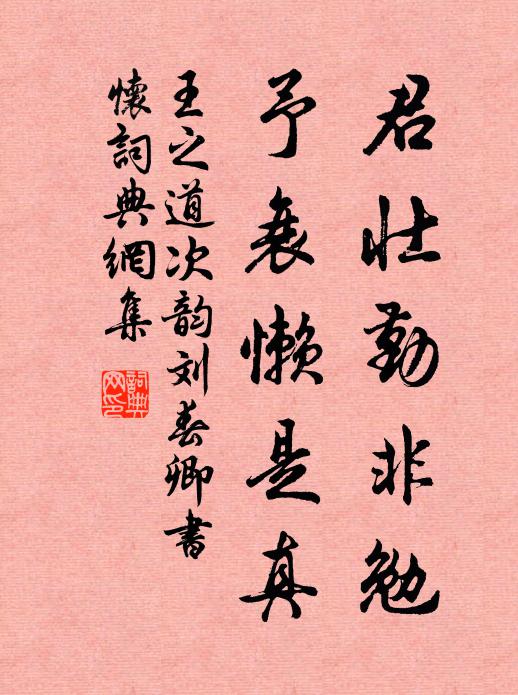 王之道君壮勤非勉,予衰懒是真书法作品欣赏