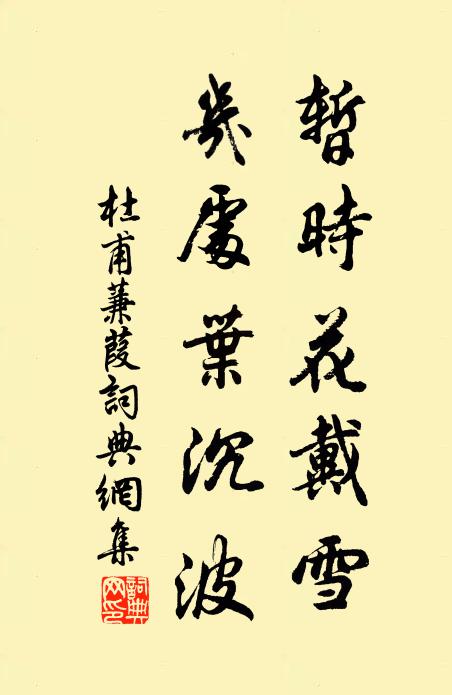 杜甫暂时花戴雪，几处叶沉波书法作品欣赏