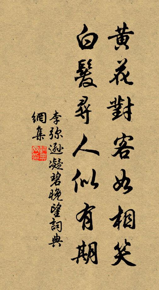 李弥逊黄花对客如相笑，白发寻人似有期书法作品欣赏