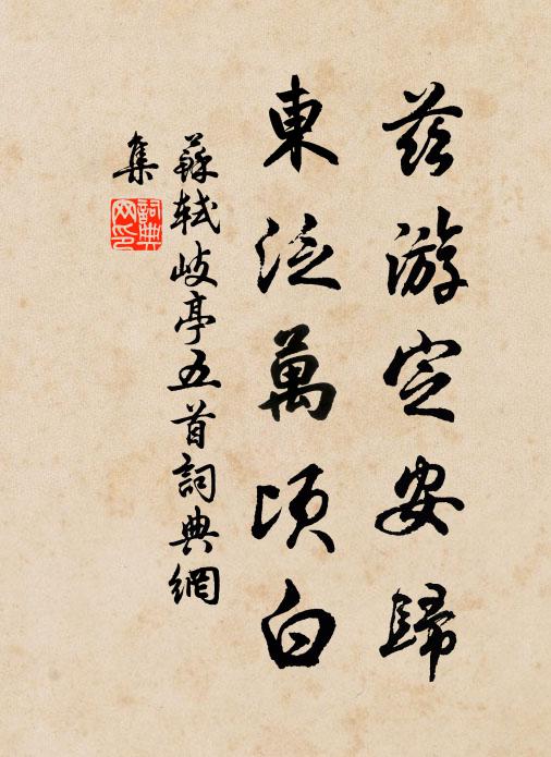 苏轼兹游定安归，东泛万顷白书法作品欣赏