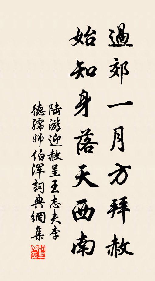 陆游过郊一月方拜赦，始知身落天西南书法作品欣赏