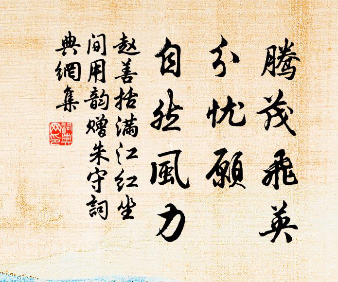 赵善括腾茂飞英，分忧愿、自然风力书法作品欣赏