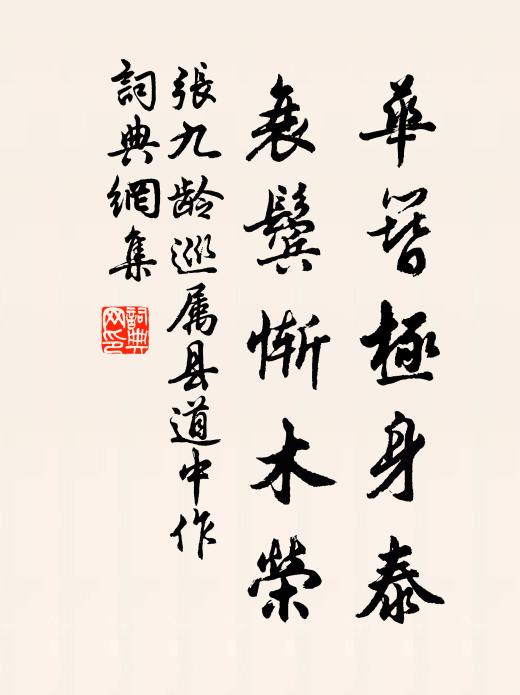 张九龄华簪极身泰，衰鬓惭木荣书法作品欣赏