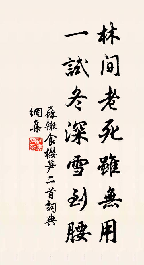 苏辙林间老死虽无用，一试冬深雪到腰书法作品欣赏