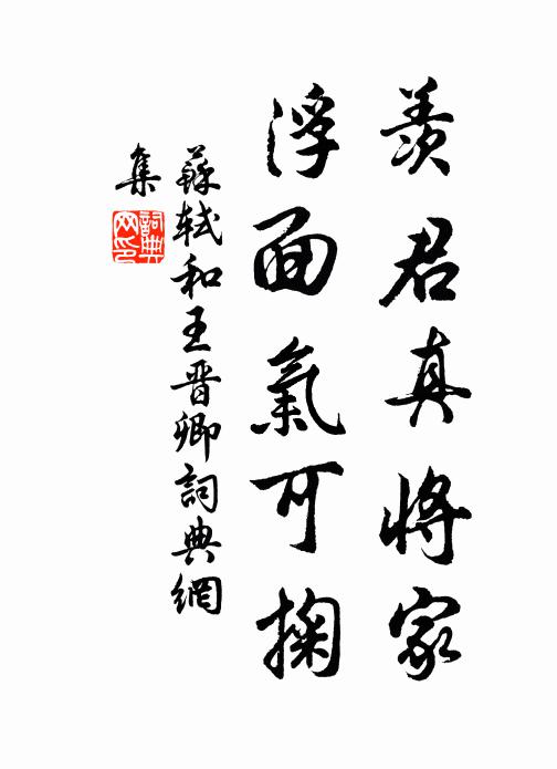 苏轼羡君真将家，浮面气可掬书法作品欣赏