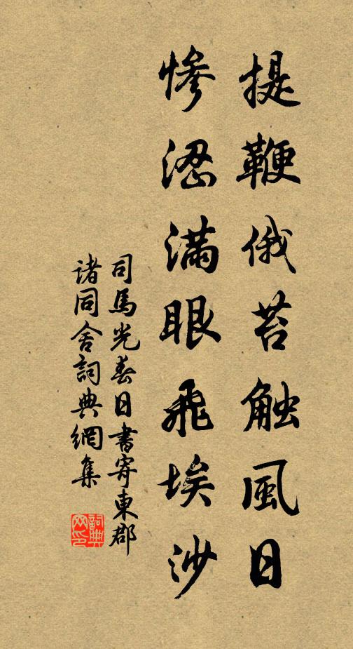 司马光提鞭俄苔触风日，惨涩满眼飞埃沙书法作品欣赏