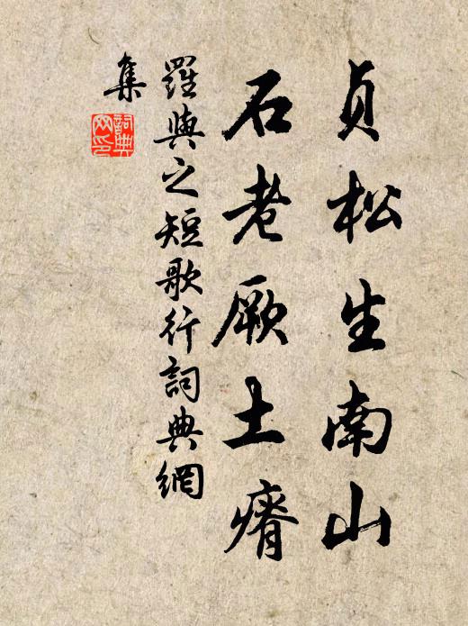 罗与之贞松生南山，石老厥土瘠书法作品欣赏