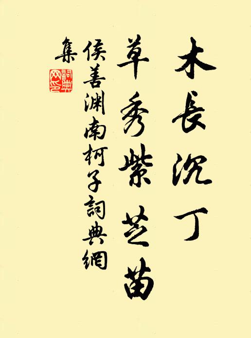 侯善渊木长沉丁，草秀紫芝苗书法作品欣赏