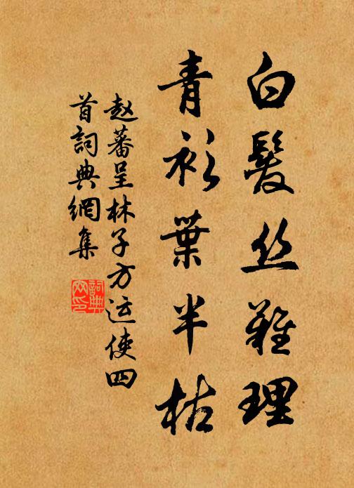 赵蕃白发丝难理，青衫叶半枯书法作品欣赏