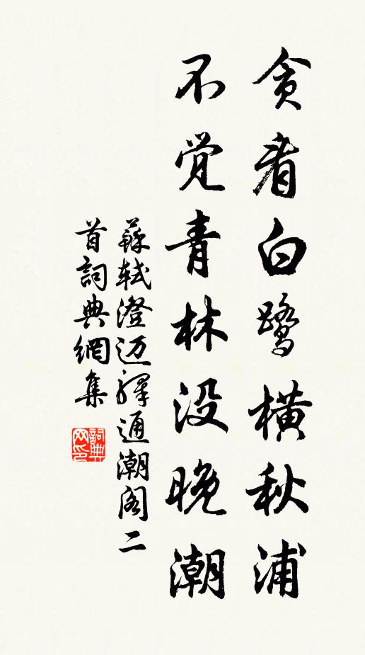 苏轼贪看白鹭横秋浦，不觉青林没晚潮书法作品欣赏