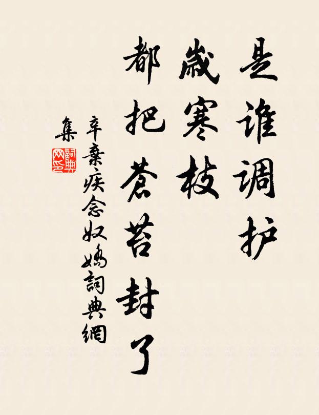 辛弃疾是谁调护，岁寒枝、都把苍苔封了书法作品欣赏